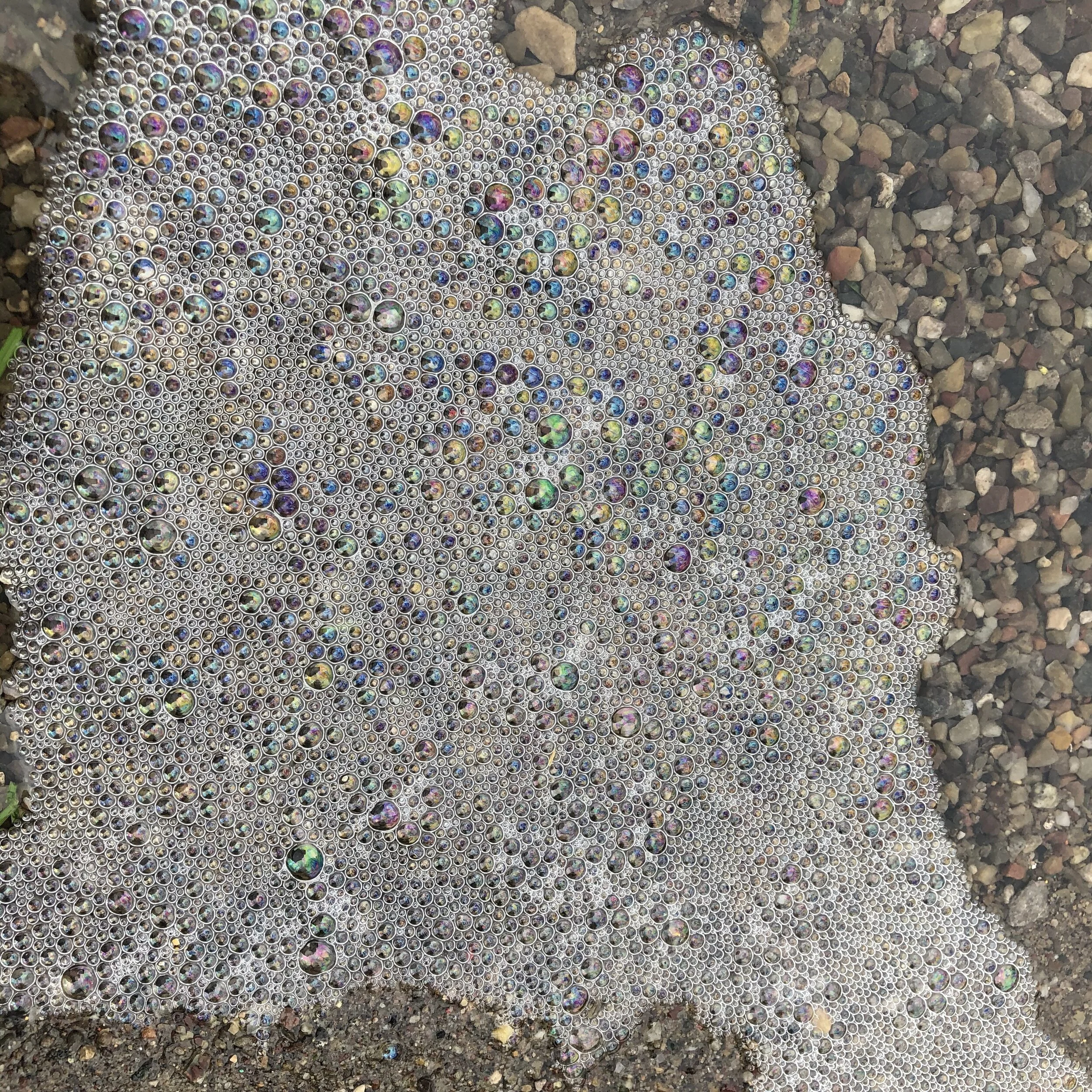 Spotted in the Field: Bubbles!