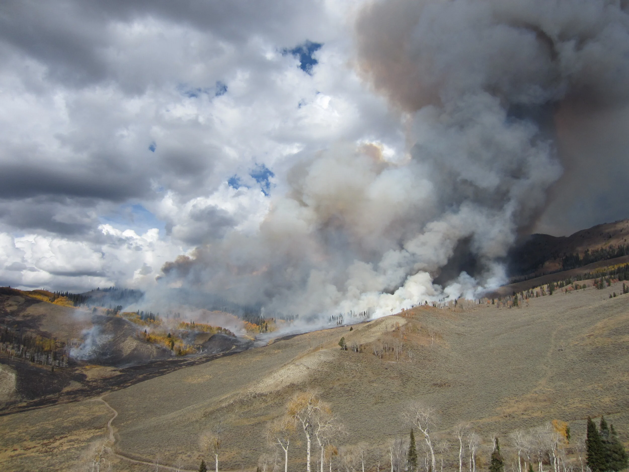 Shared Leadership for Wildfire Protection in Teton County 