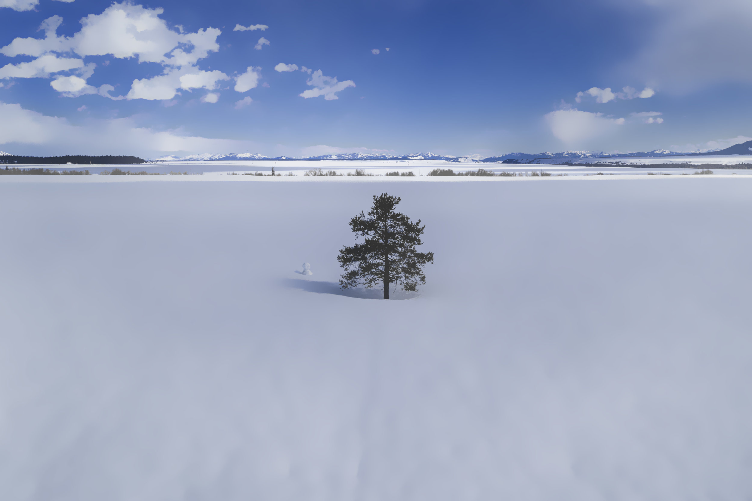 January Board Meeting