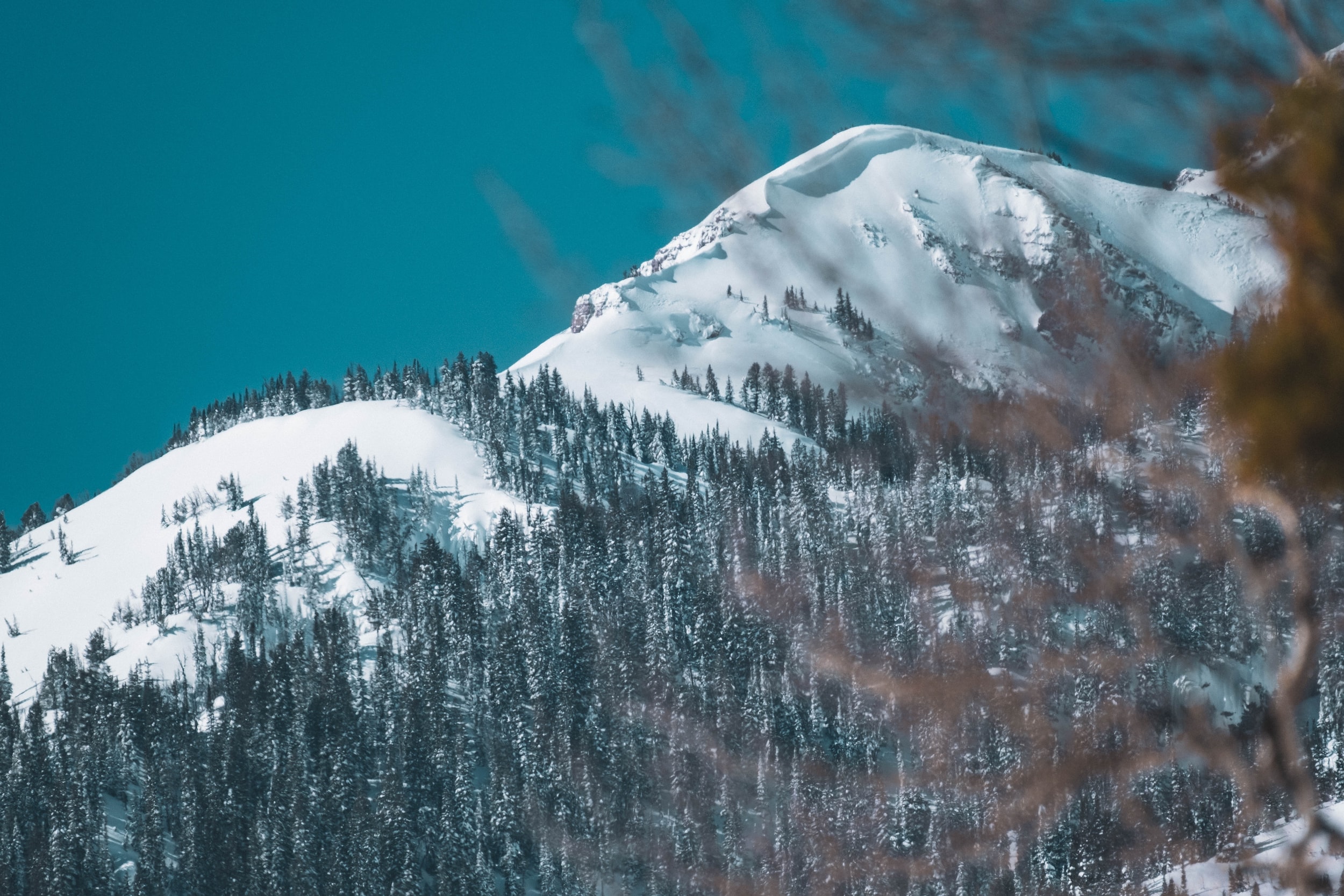 February Board Meeting