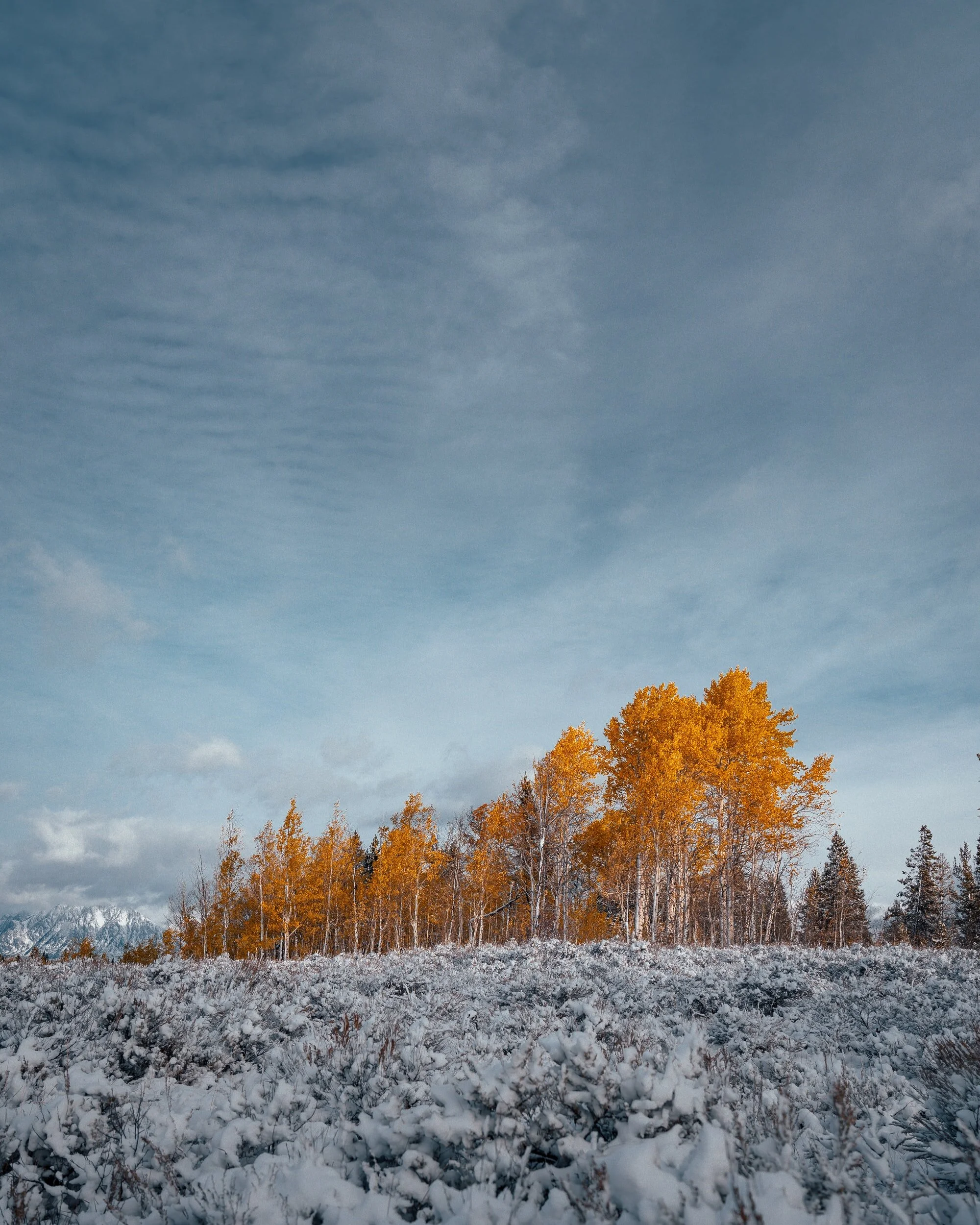 October Board Meeting