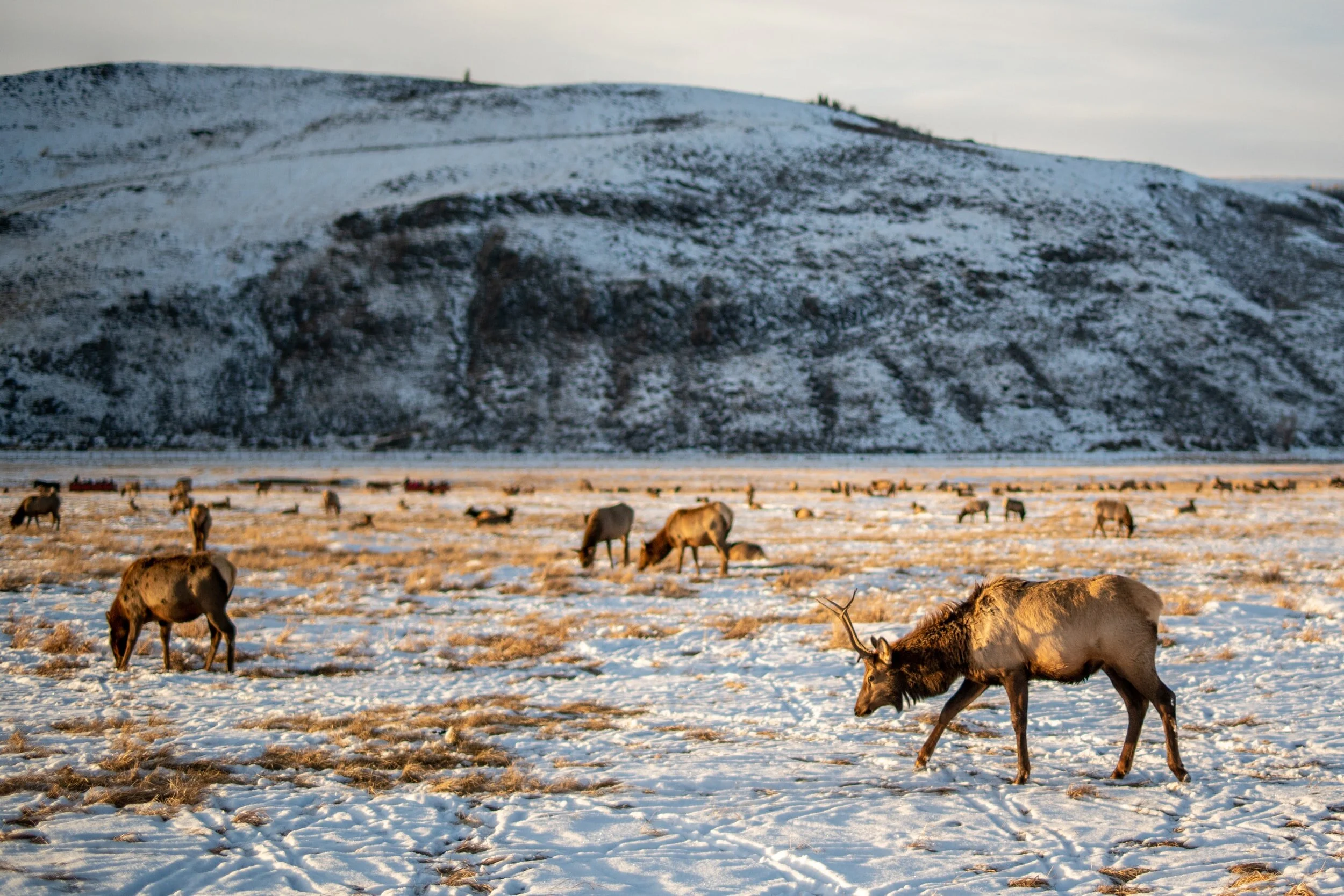 Prions in the environment? Managers eye testing soil and water