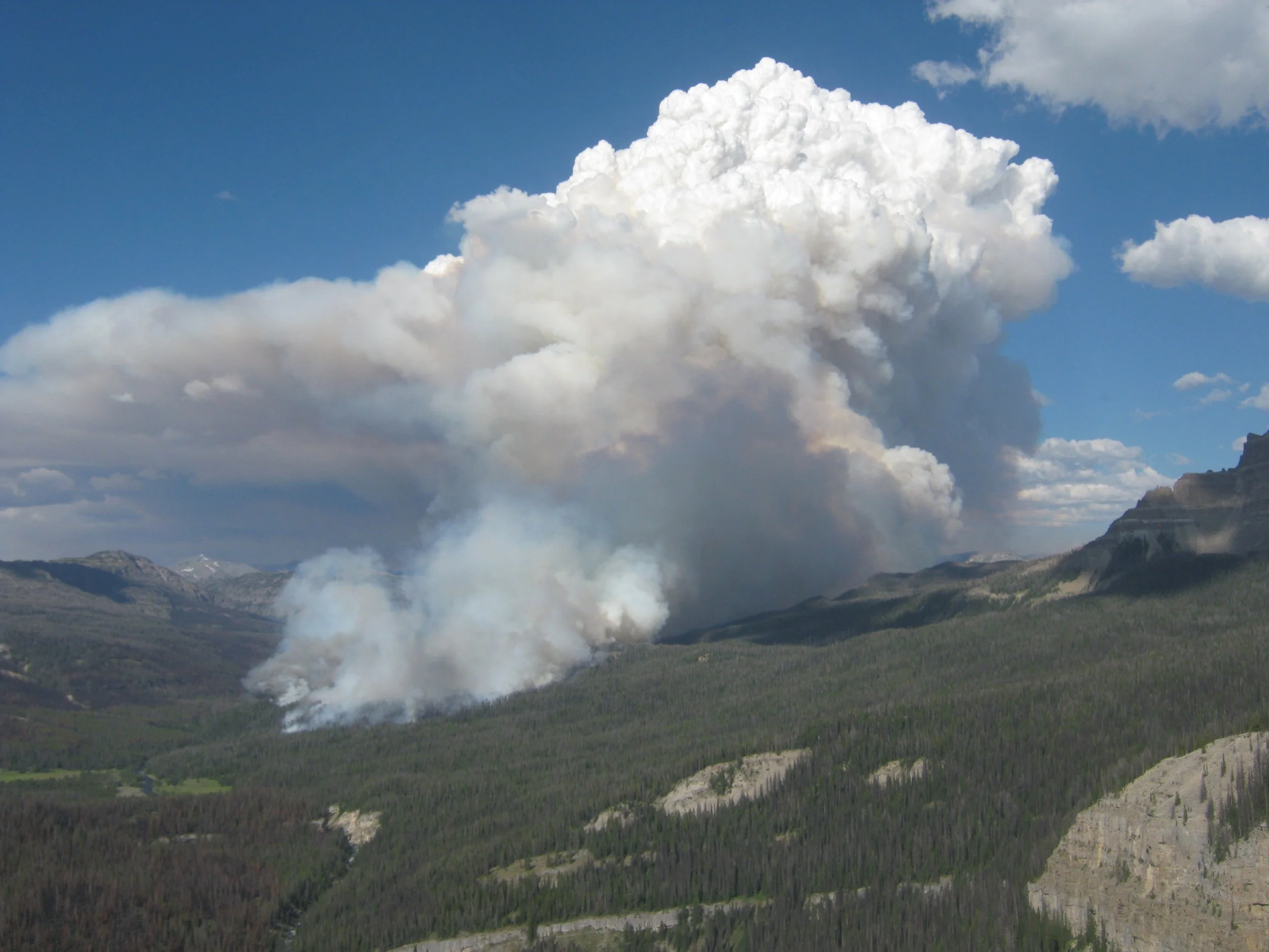 You can prepare for busy fire season ahead