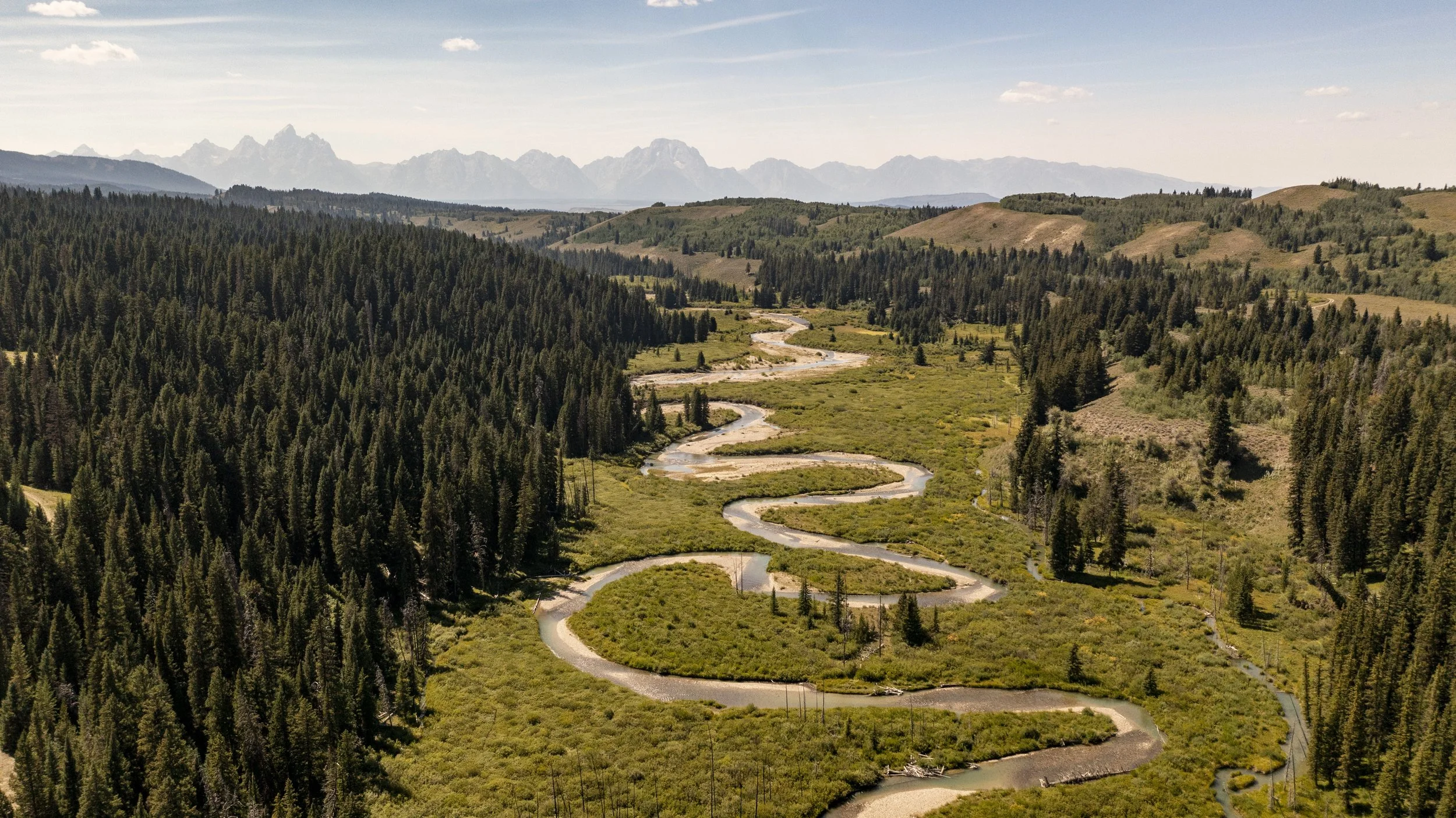 Spread Creek Project Protects Cutthroat Trout