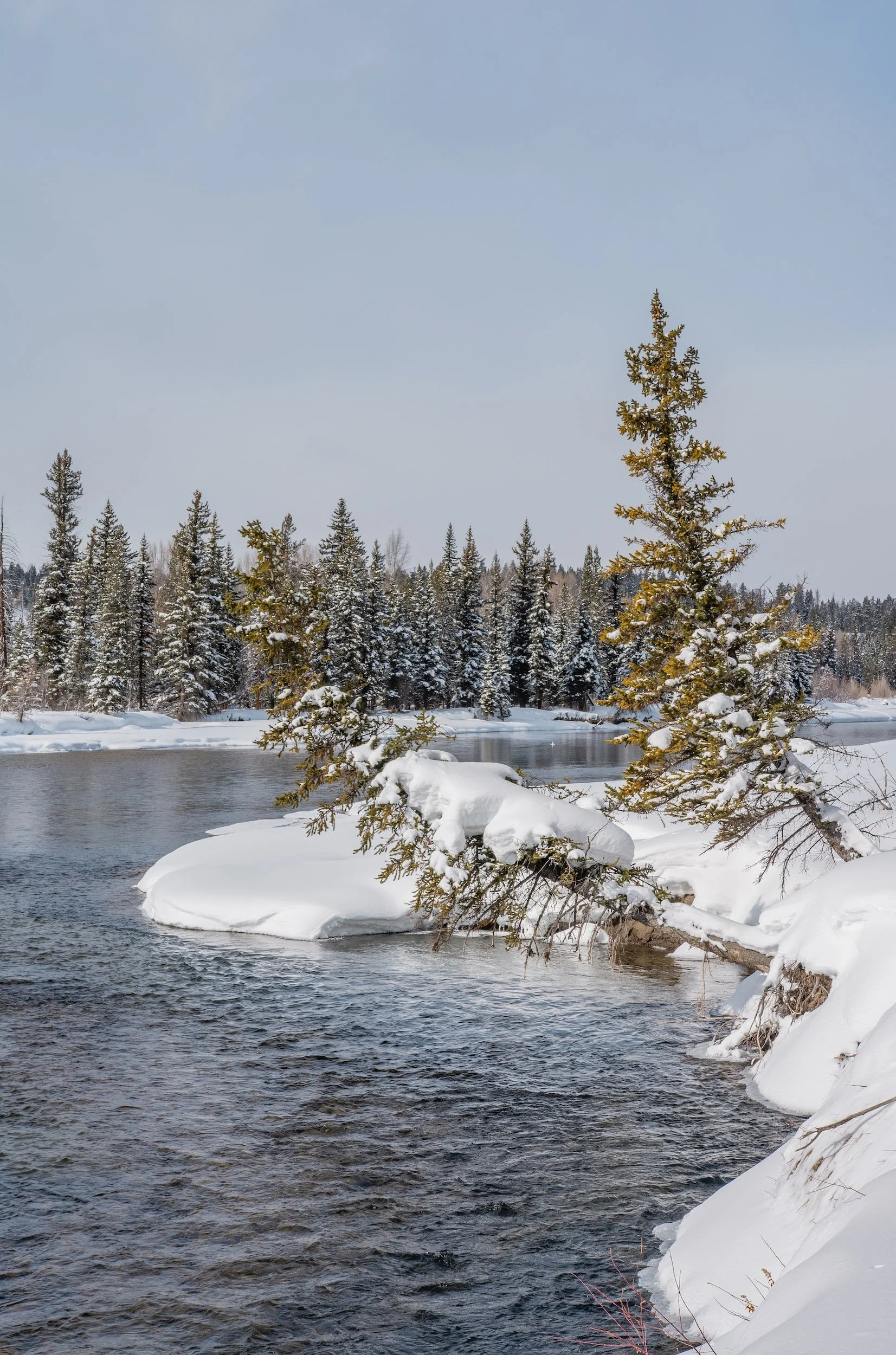 Study of Snake River headwaters will lead $20 million climate change grant