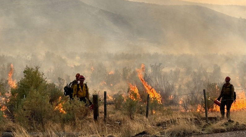 Fire risk remains “very high” with few improvement signs until snowfall (Aug 20, 2025)