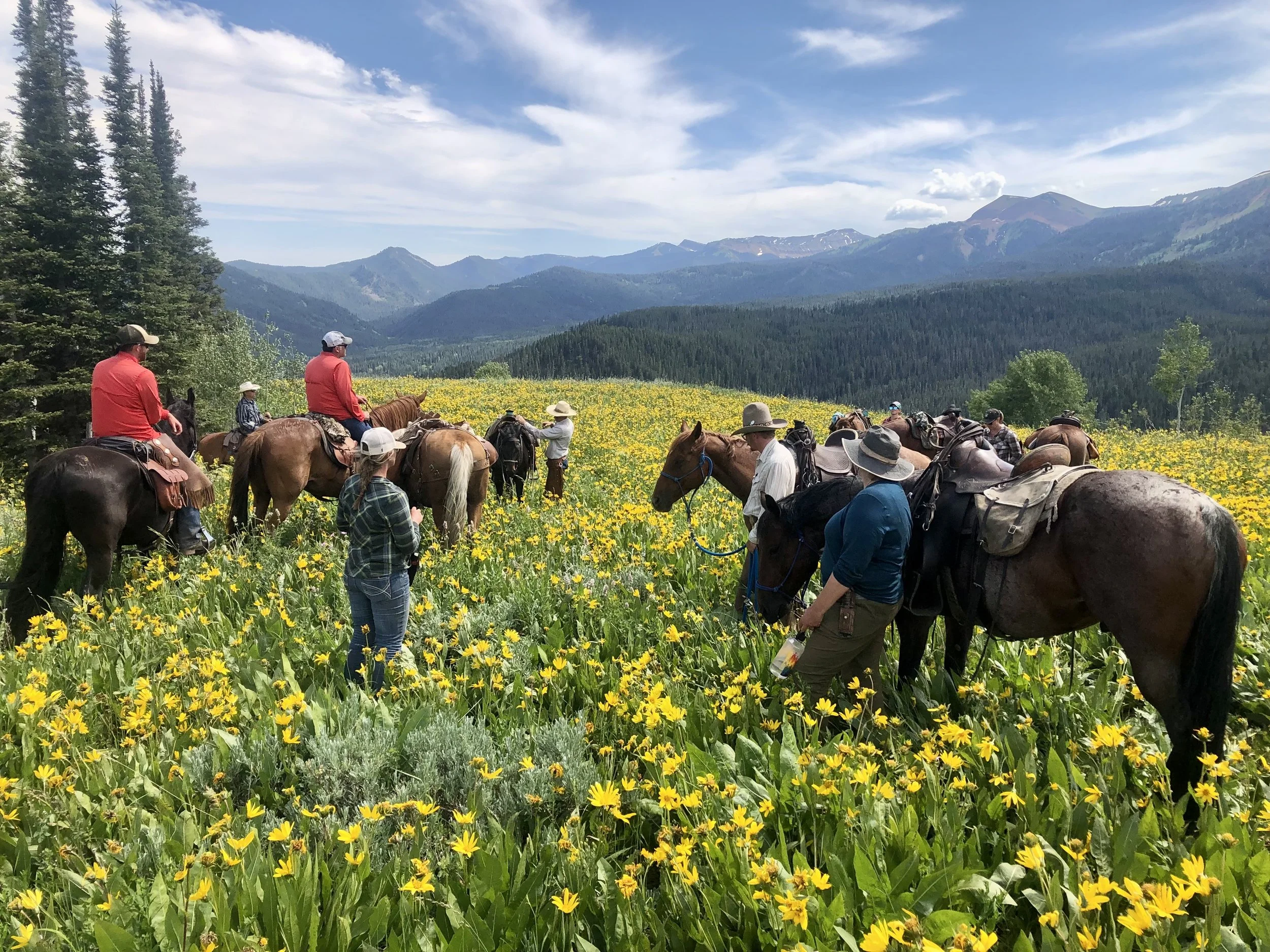 Natural Resources Conservation Service (NRCS) Local Work Group Meeting