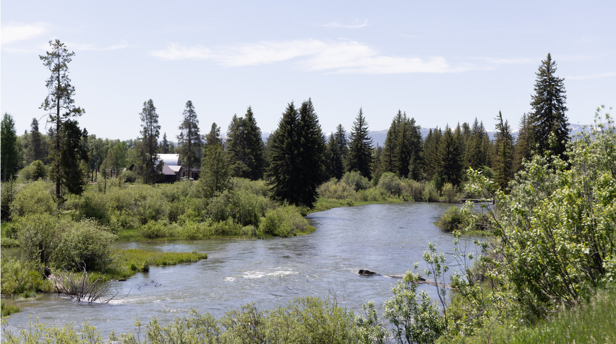 (May 29, 2026) Health department: Avoid E. coli in Fish, Flat Creeks