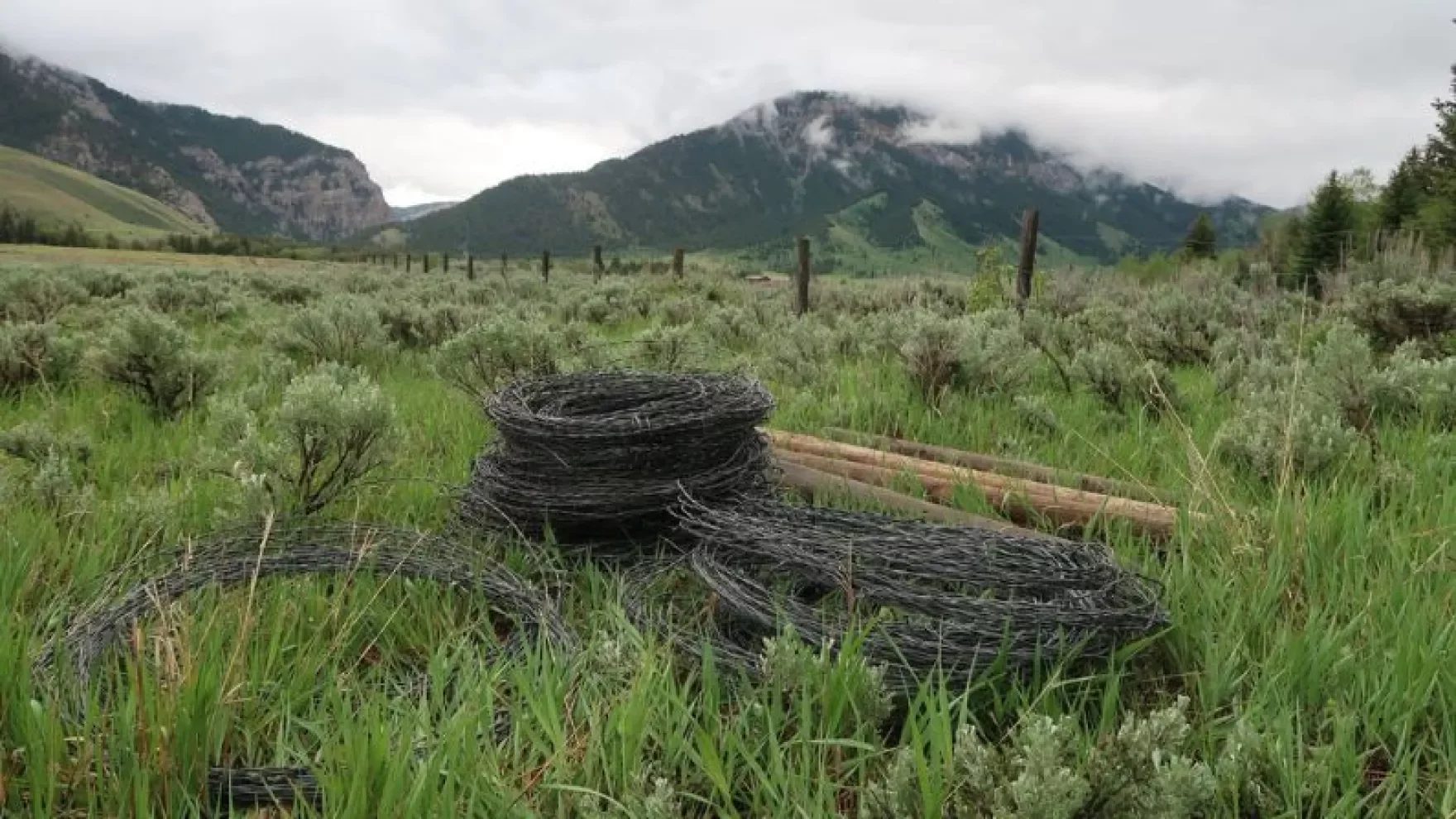 (July 20, 2026) Without sweeping policy, volunteers still spearhead Wyoming’s fence removal effort