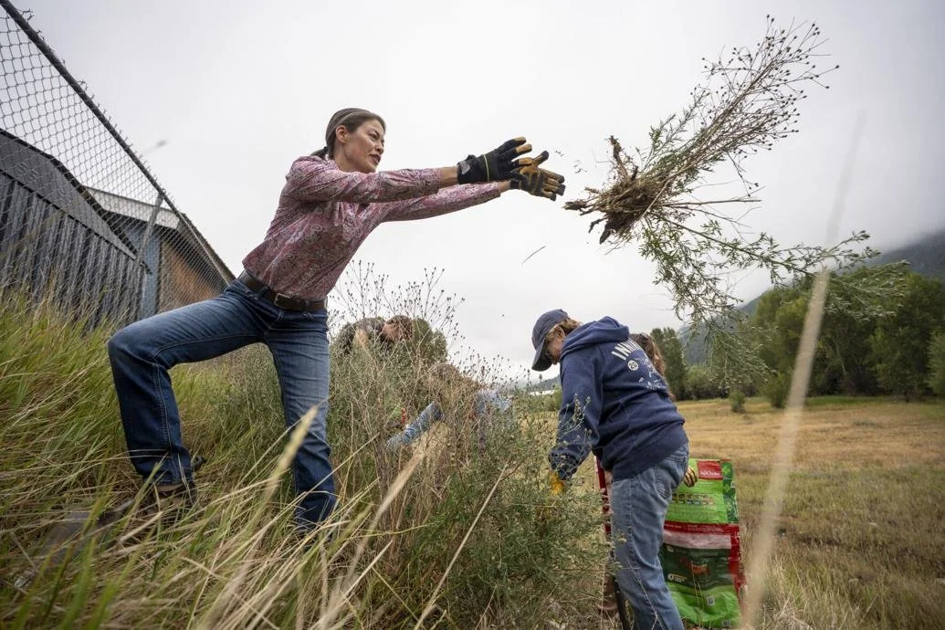 (July 29, 2026) Jackson moves to protect native pollinators