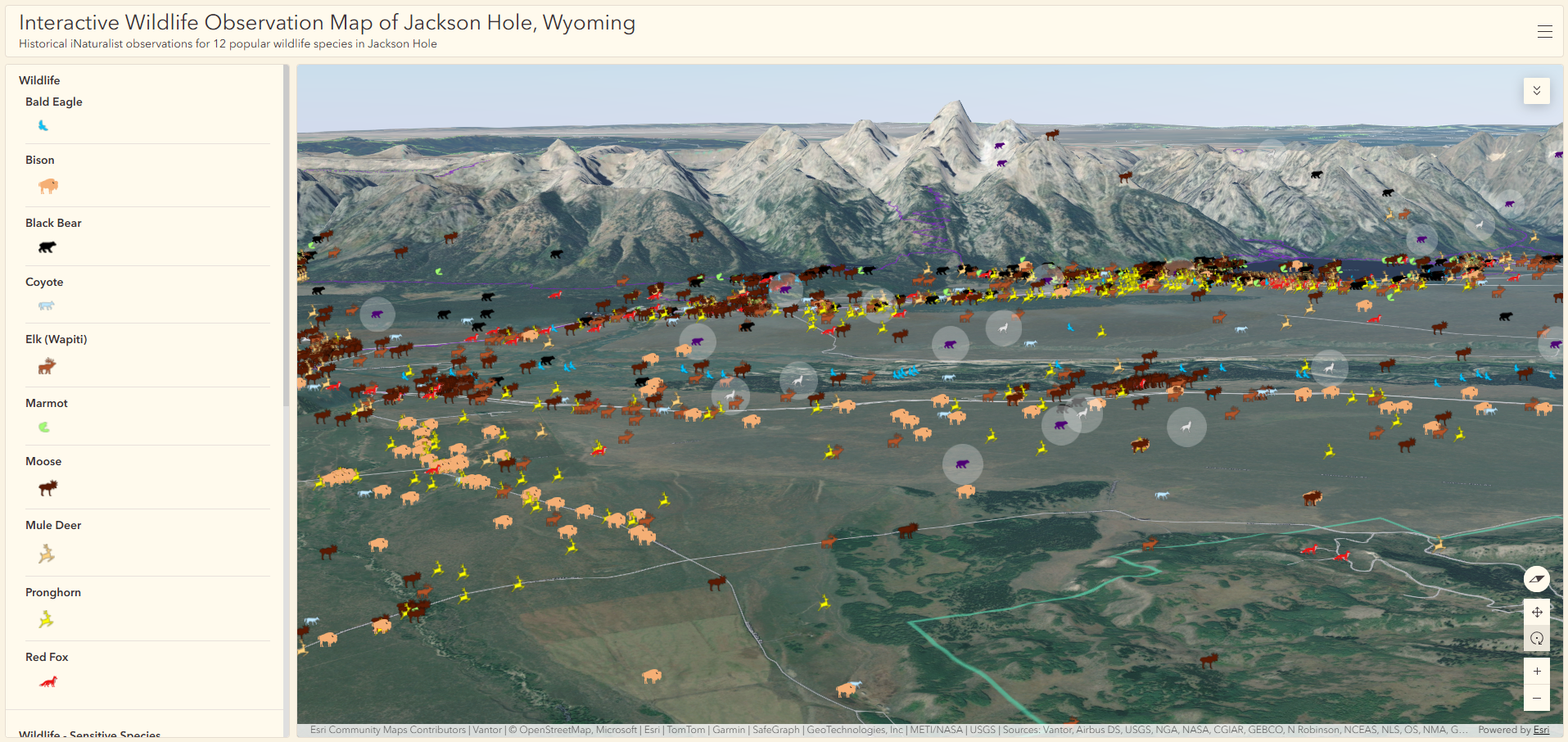 Interactive Wildlife Observation Map of Jackson Hole, WY