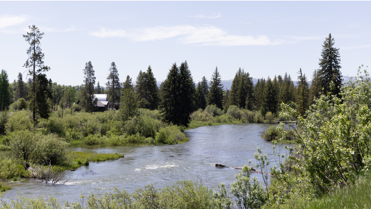 (August 30, 2026) Fish Creek Watershed Plan: Partnerships and water quality in Wilson