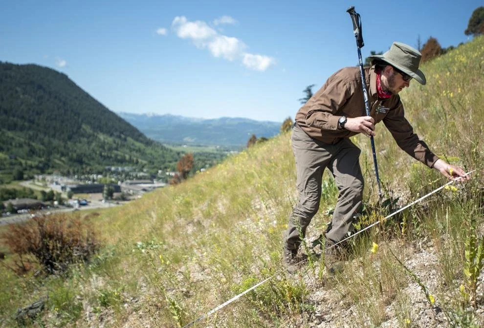 (Sept 16, 2026) Four vie for seats on Teton Conservation District board