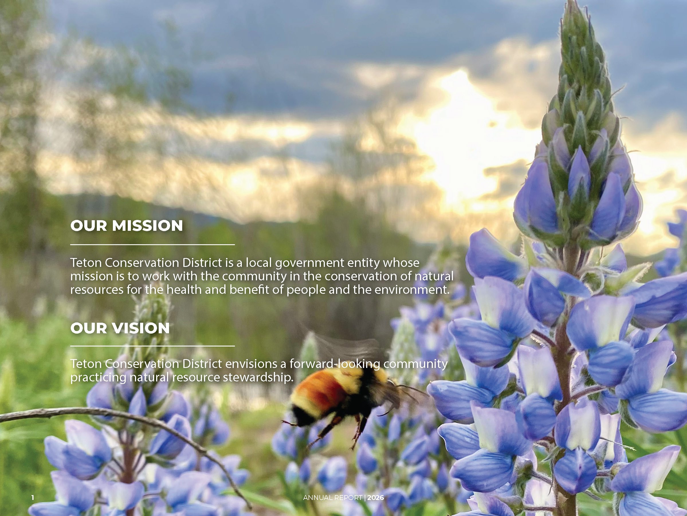 FINAL_TCD_FY26_AnnualReport_Page_02.jpg