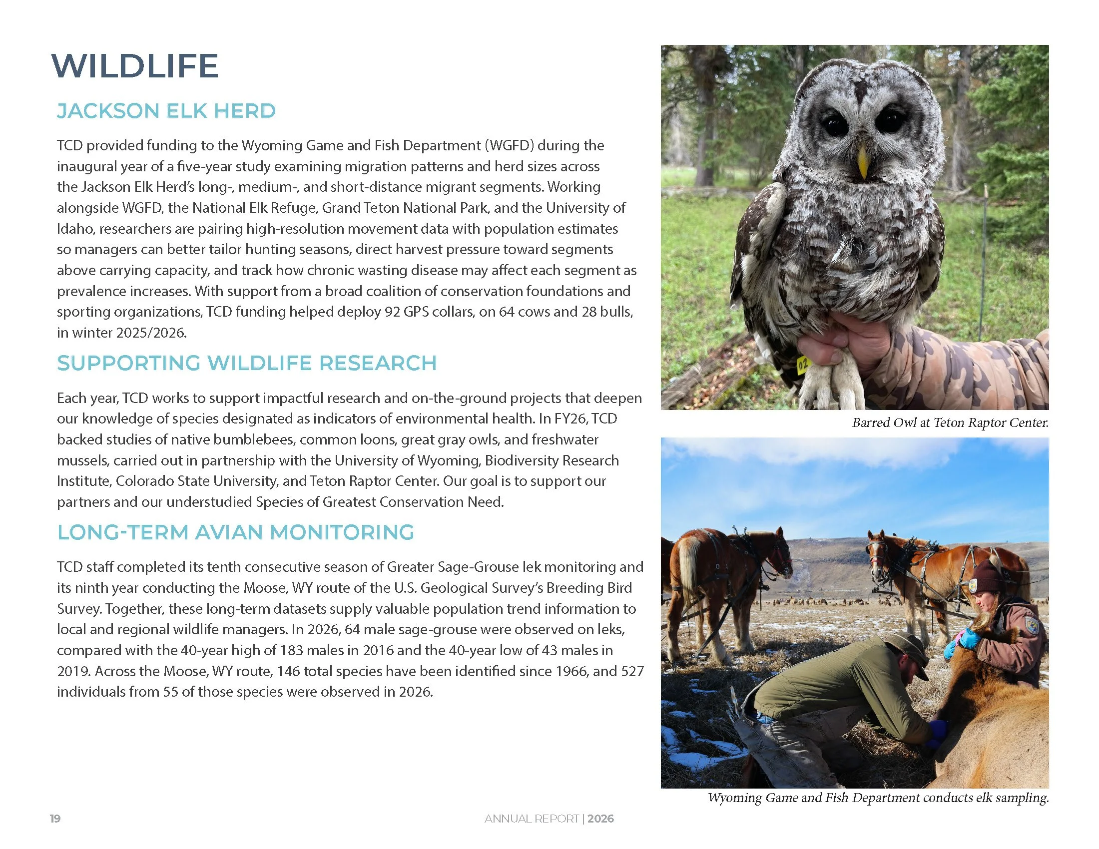 FINAL_TCD_FY26_AnnualReport_Page_20.jpg