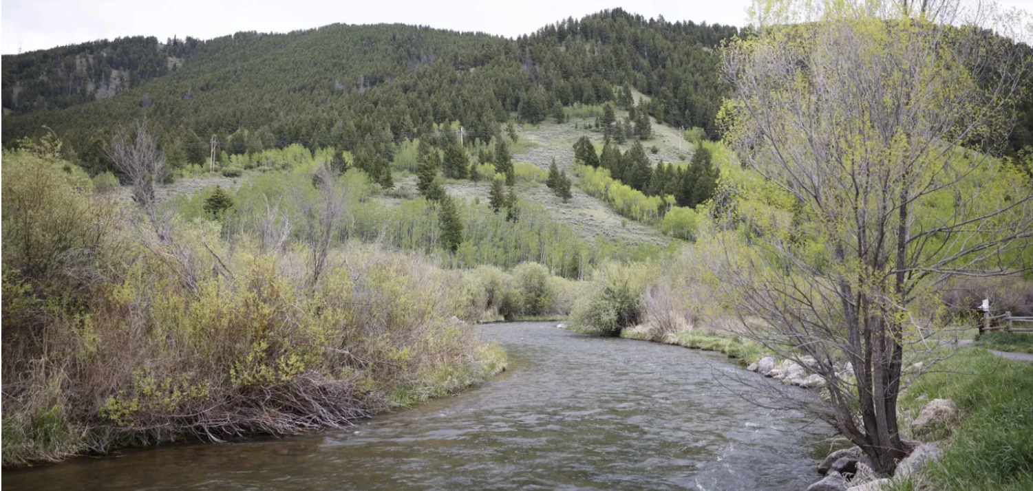 (Oct 5, 2026) Teton Conservation District candidate David Adams talks mill levy, continuity