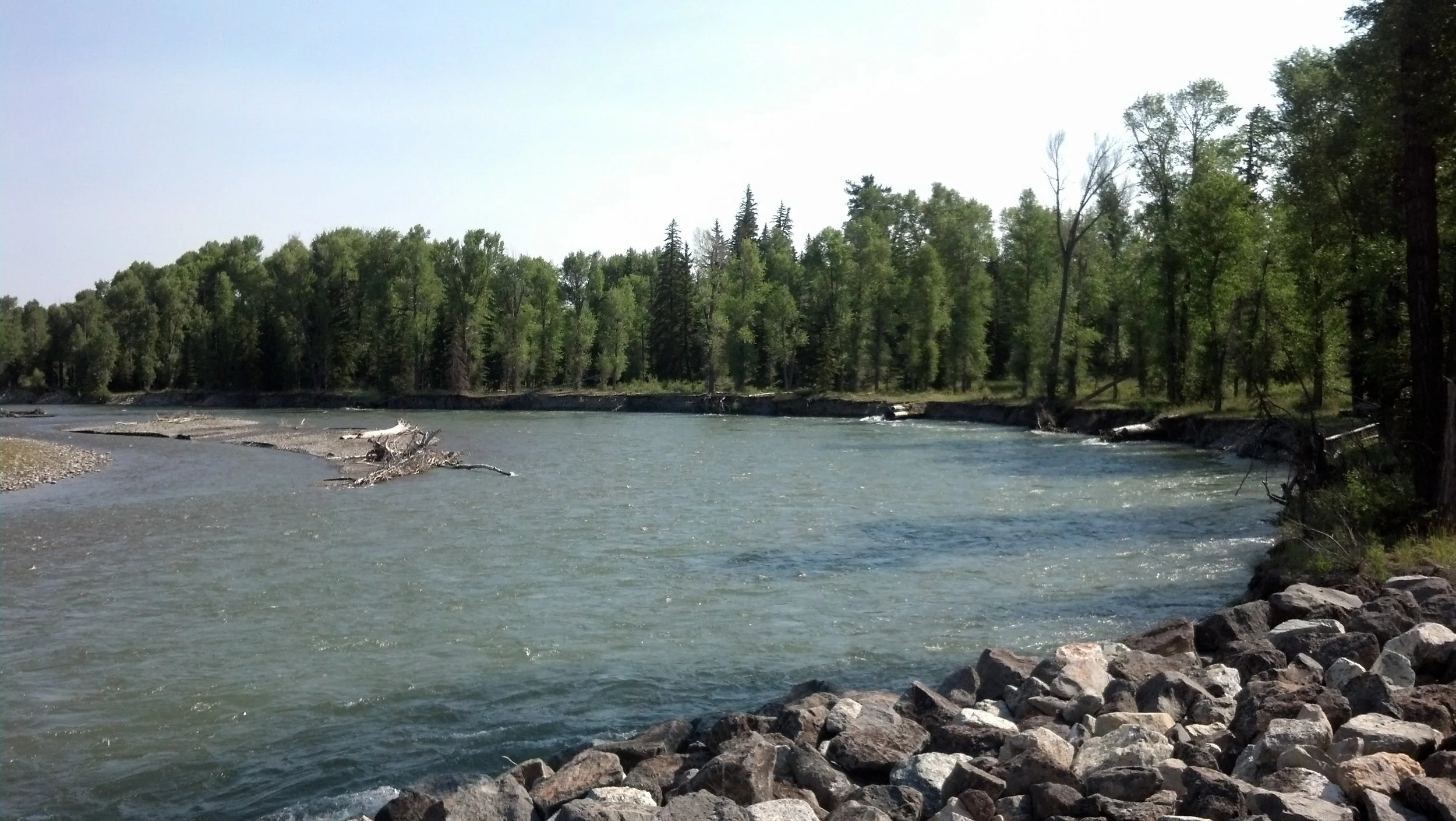 Partners In Conservation: Pam Cutler