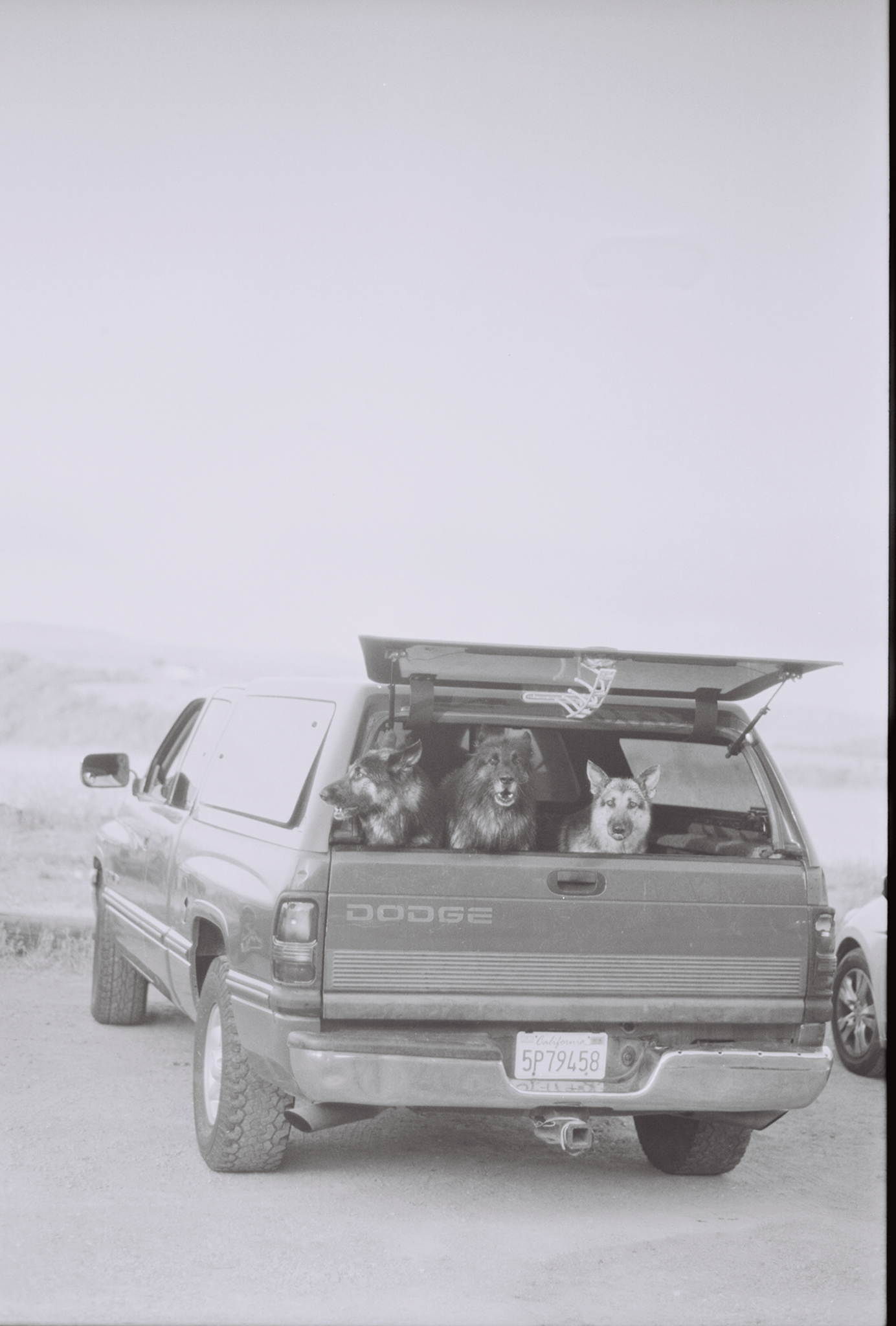 0035472-028.Jpg