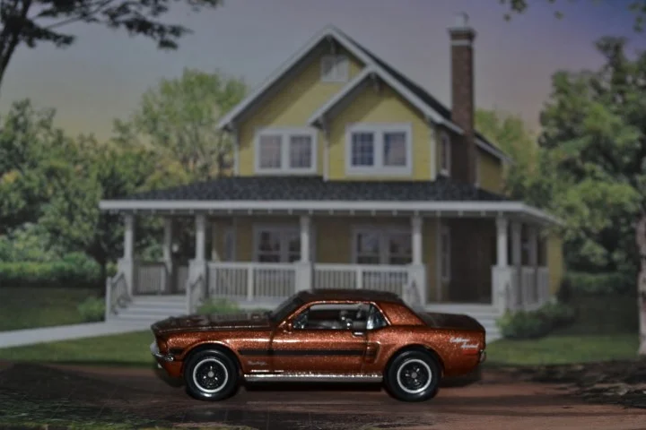 DSC_3584 (Small).JPG