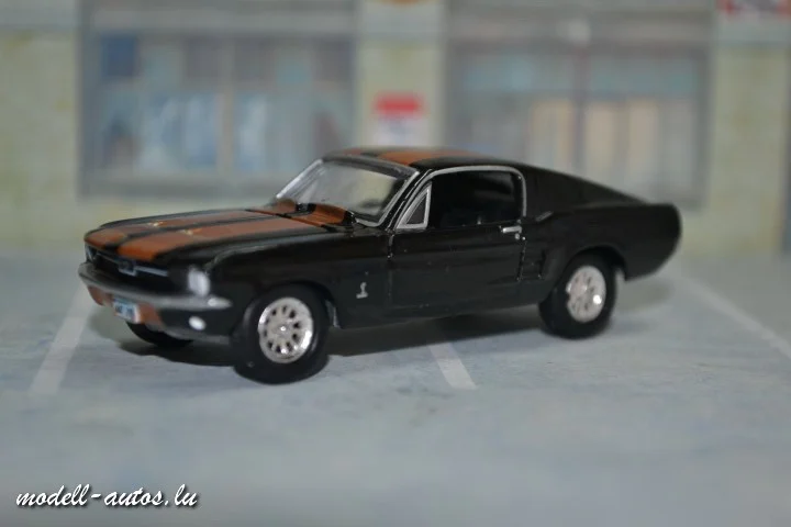 DSC_14743 (Small).JPG