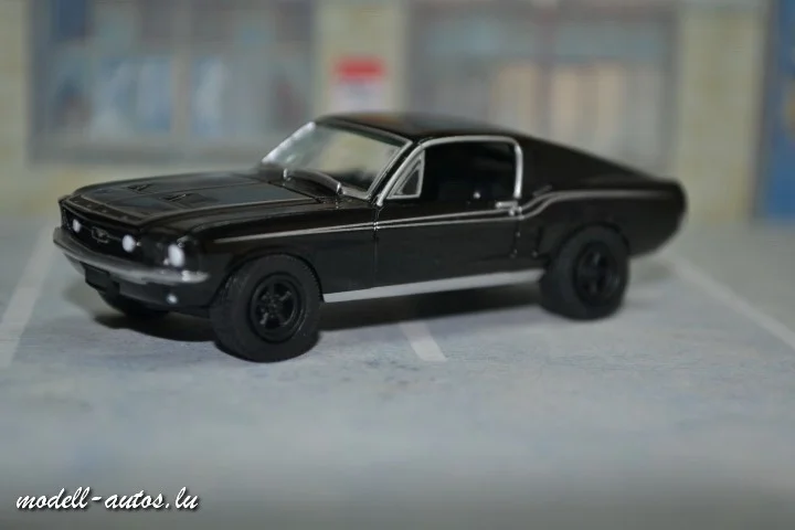 DSC_14749 (Small).JPG