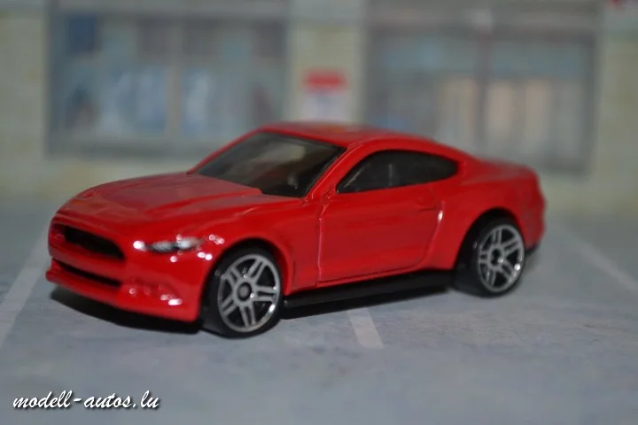 DSC_14827 (Small).JPG