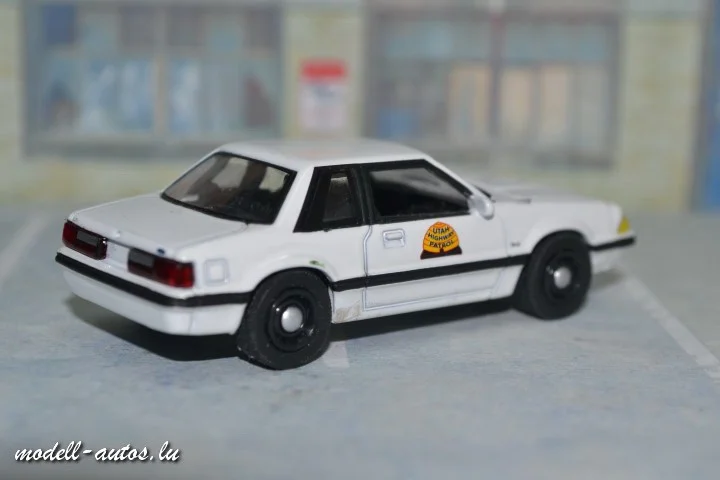 DSC_15053 (Small).JPG