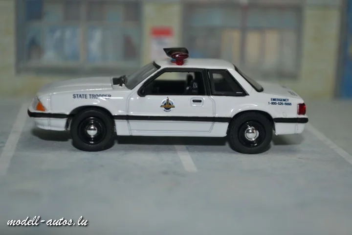 DSC_14775 (Small).JPG