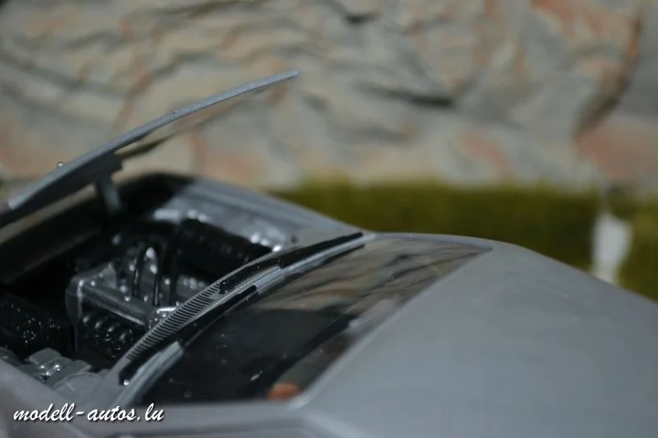 DSC_8434 (2) (Small).JPG