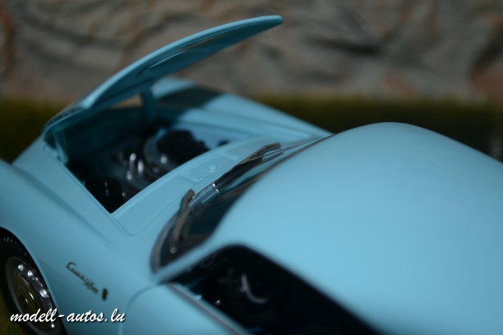 DSC_8456 (2) (Small).JPG