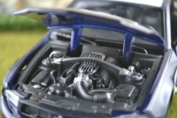 DSC_7066(Small) (Small).JPG