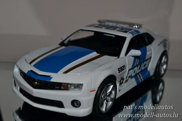 DSC_10773(Small)(2) (Small).JPG