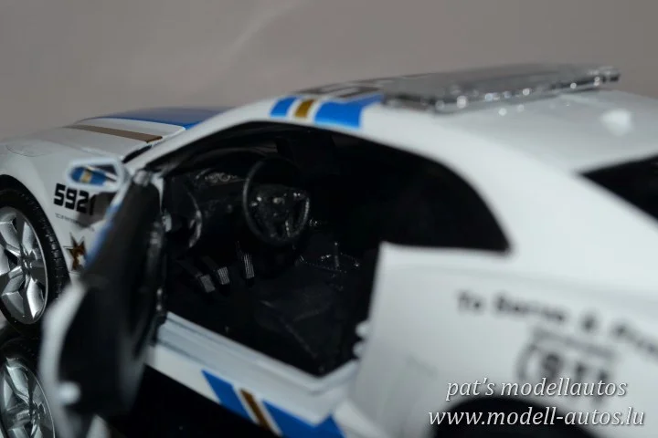 DSC_10775(Small)(2) (Small).JPG