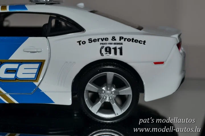 DSC_10776(Small)(2) (Small).JPG