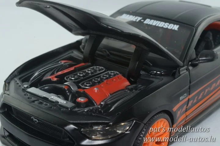 DSC_12220(Small) (2).JPG