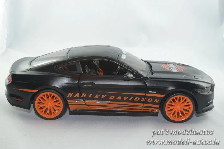 DSC_12222(Small) (2).JPG