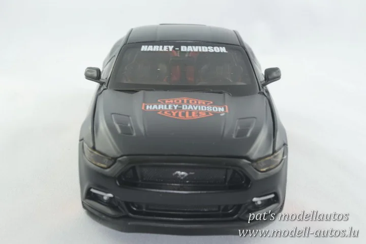 DSC_12227(Small) (2).JPG