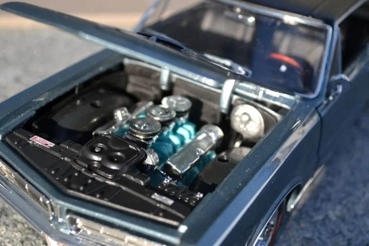 DSC_8469(Small) (Small).JPG