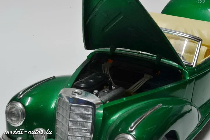 DSC_17900 (Small).JPG