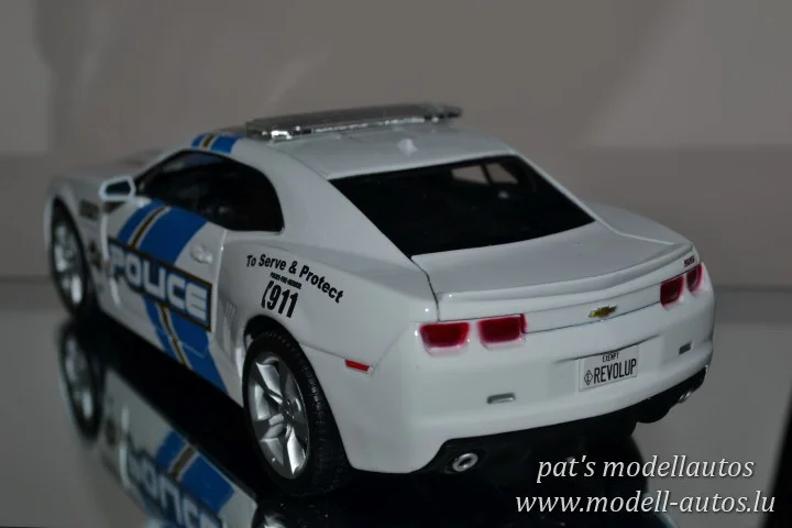 DSC_10774(Small)(2) (Small).JPG