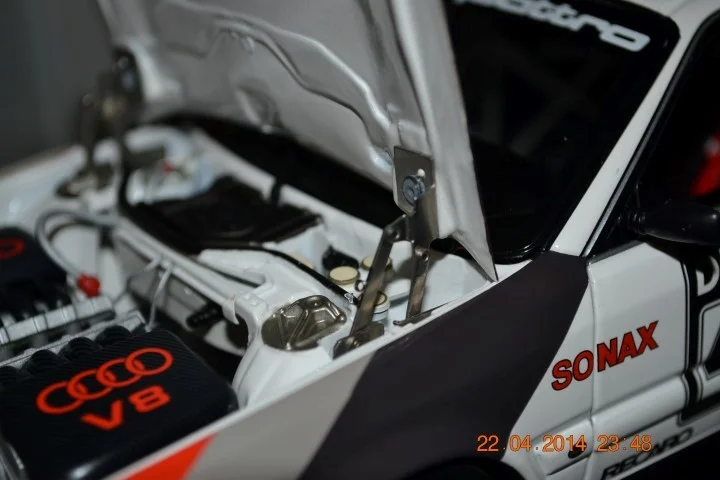 DSC_0434(Small) (Small).JPG