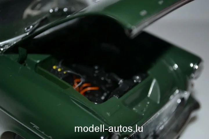 DSC_8648 (Small).JPG