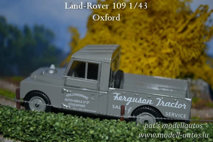 DSC_10996(Small)(2) (Small).JPG