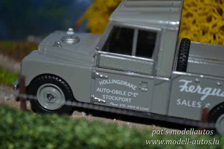 DSC_10998(Small)(2) (Small).JPG