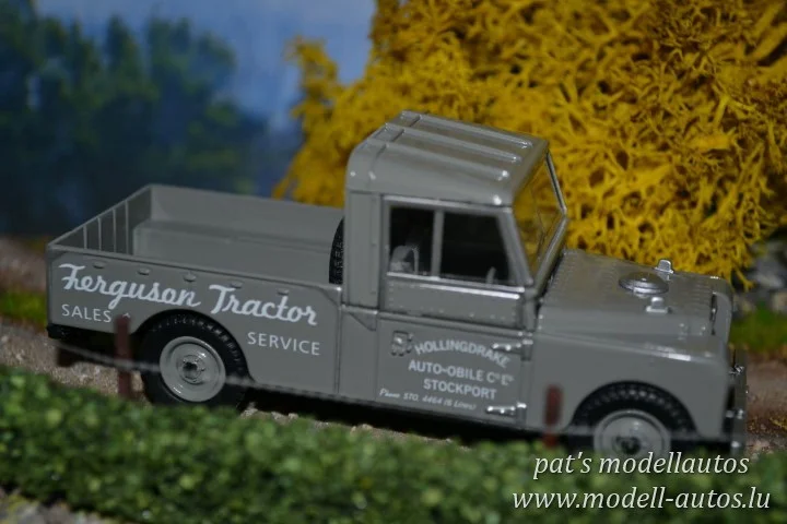 DSC_10999(Small)(2) (Small).JPG