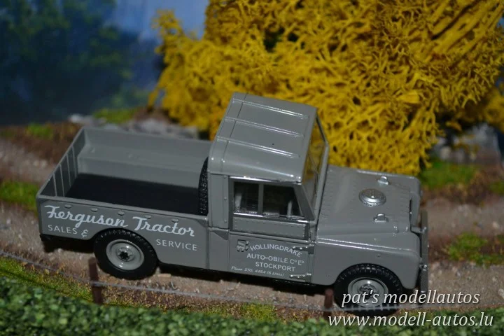 DSC_11000(Small)(2) (Small).JPG