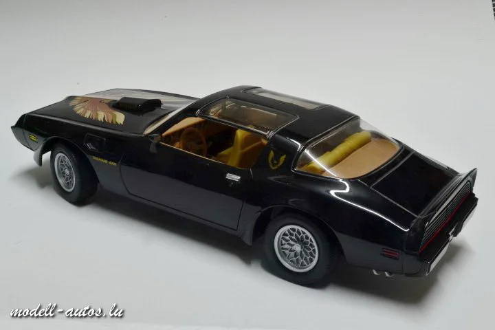 DSC_17954 (Small).JPG