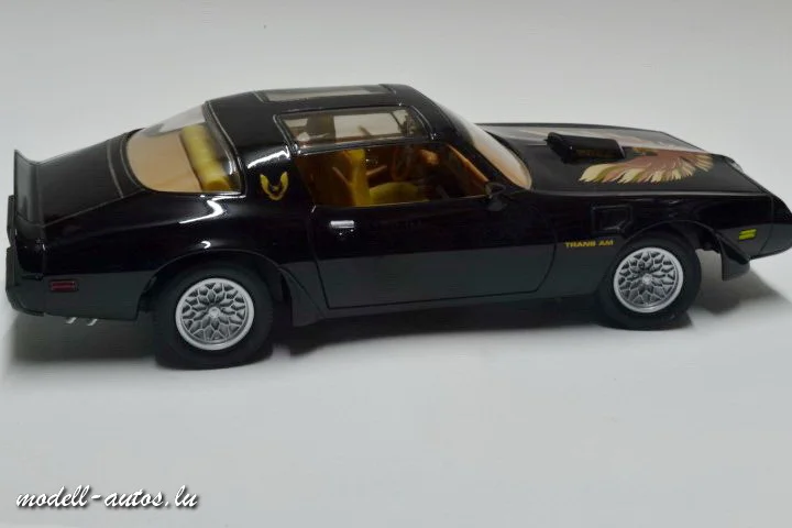 DSC_17956 (Small).JPG