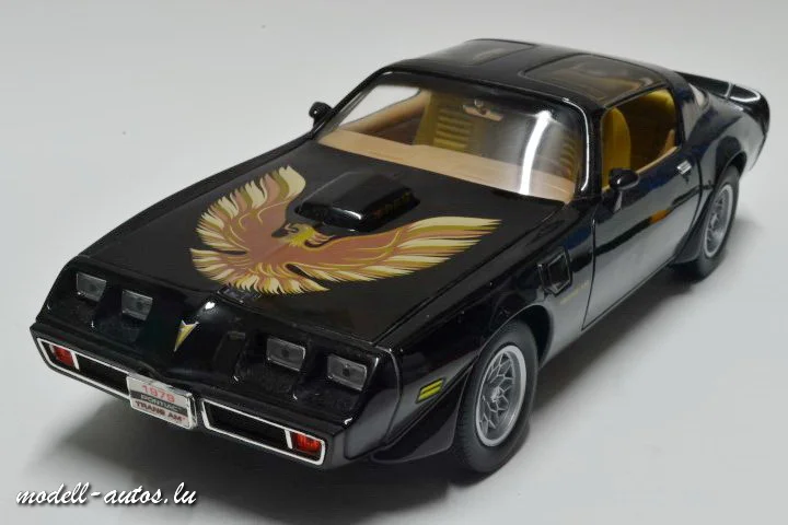 DSC_17957 (Small).JPG