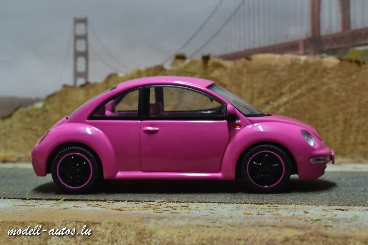 DSC_17316 (Small) (2).JPG